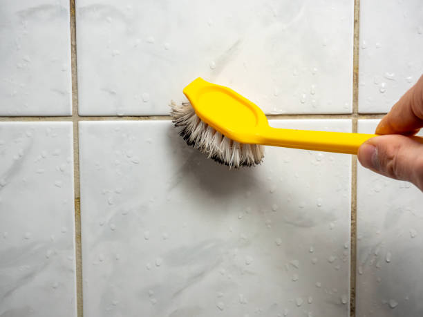 Best Commercial Mold Remediation in Long Lake, MN